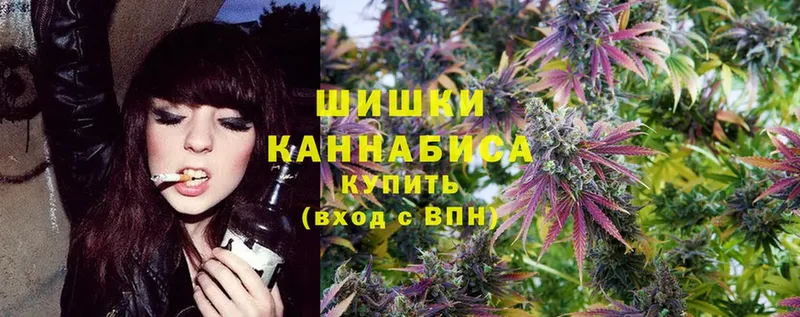 Бошки марихуана THC 21%  Саров 